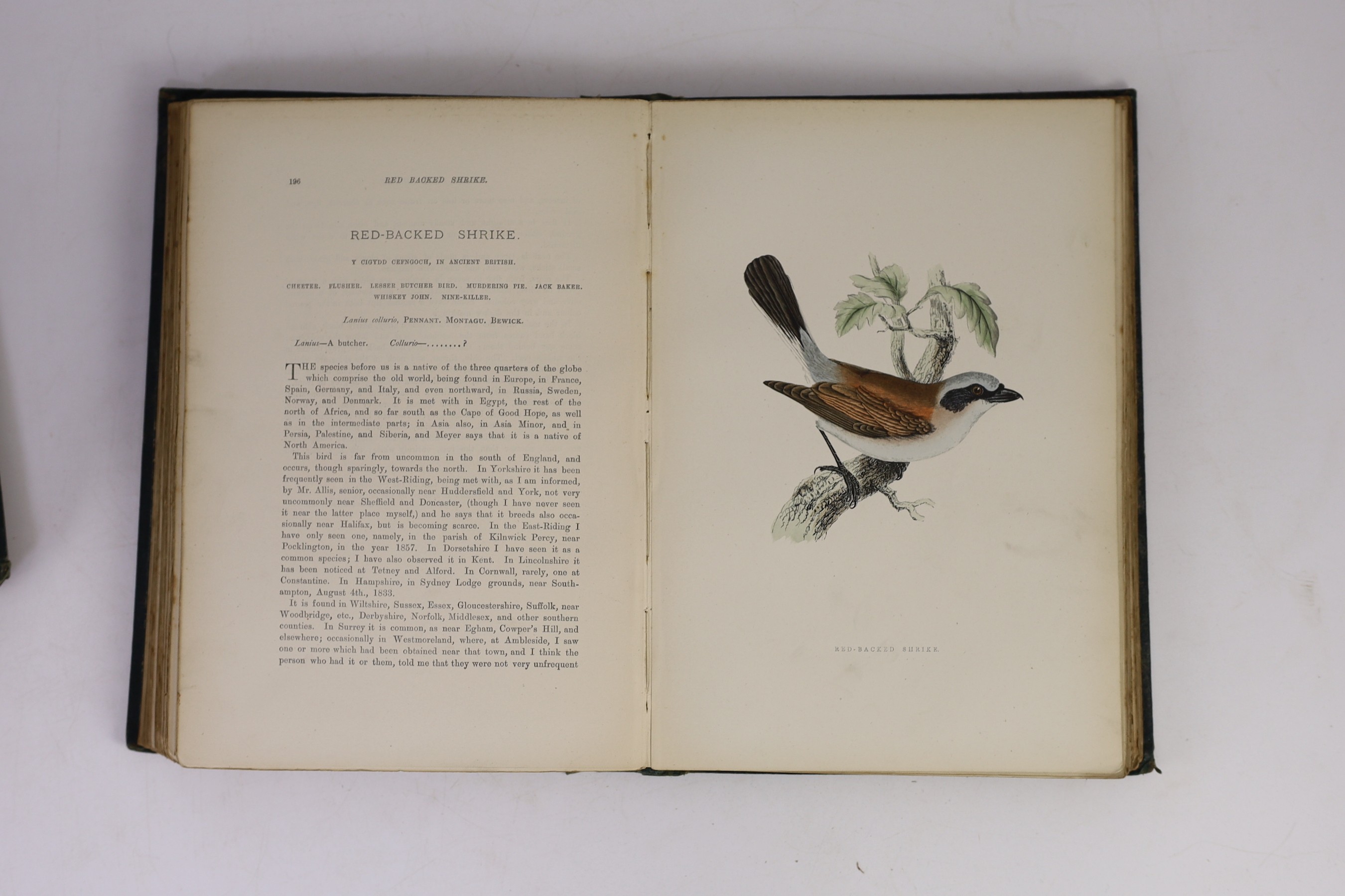 Morris, Francis Orpen - A History of British Birds, 3rd edition, 6 vols, 8vo original cloth pictorial gilt, with 394 hand-coloured plates, spines bumped, John C. Nimmo, London, 1891